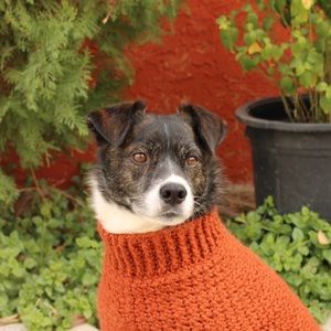 Meet your Posher, Veronica